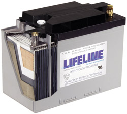 Lifeline Battery